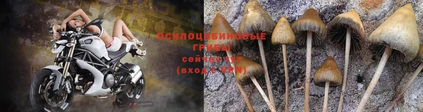 прущая мука Алзамай