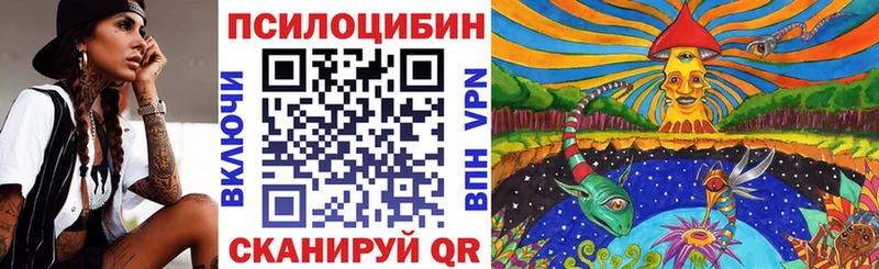 Псилоцибиновые грибы Magic Shrooms  даркнет наркотические препараты  Приозерск 